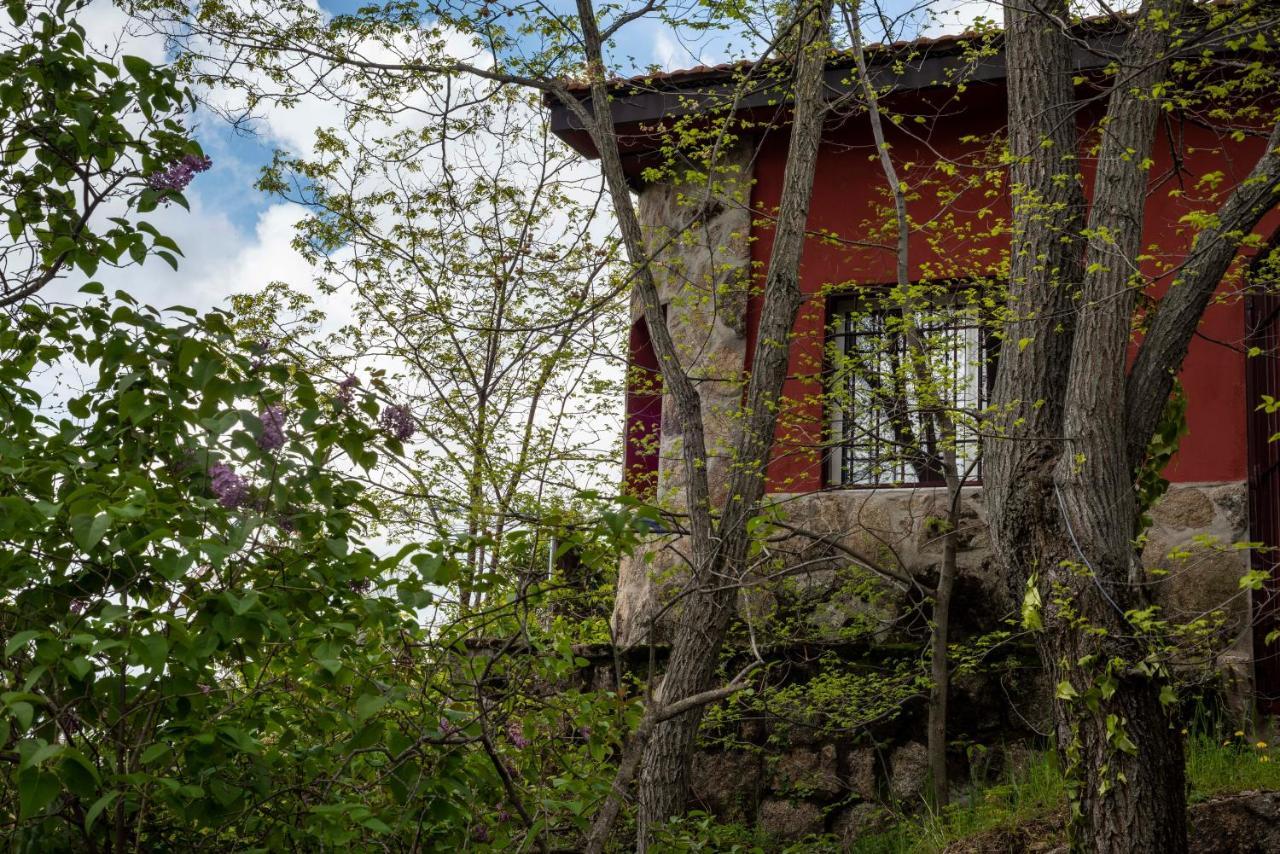 فيلا Casita En La Sierra Zarzalejo المظهر الخارجي الصورة