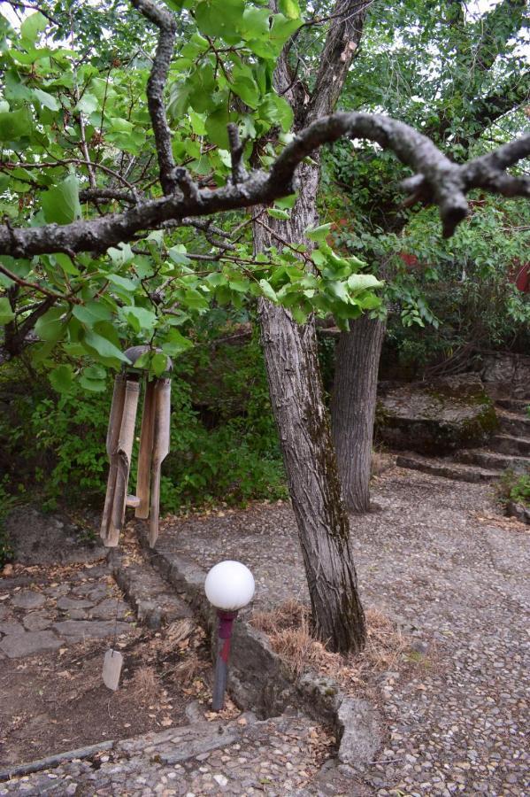 فيلا Casita En La Sierra Zarzalejo المظهر الخارجي الصورة
